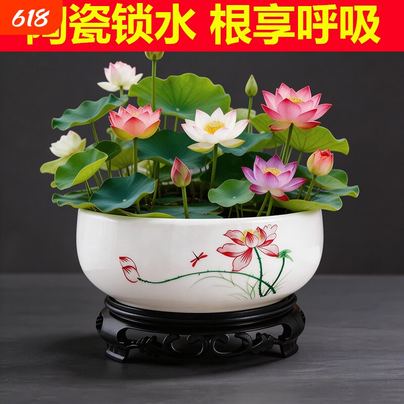 水仙花陶瓷无孔水培花盆家用特价大号铜钱草睡莲专用一叶莲水培盆