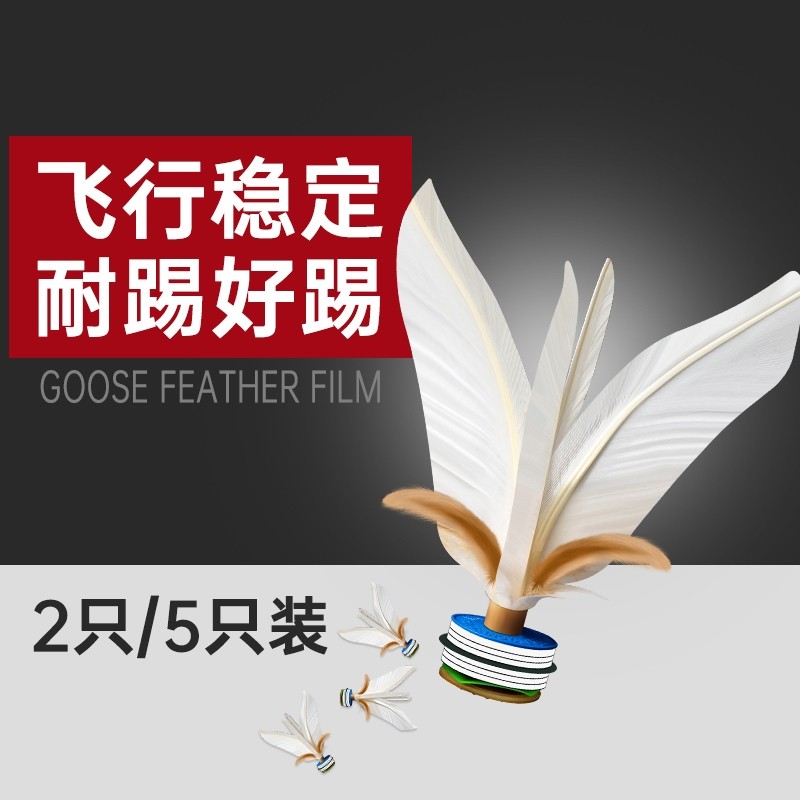 С�ţ�2��/����װ������-��릸��� ����˶������˱�������ѵ��ר�ö�ͯСѧ��������רҵ���