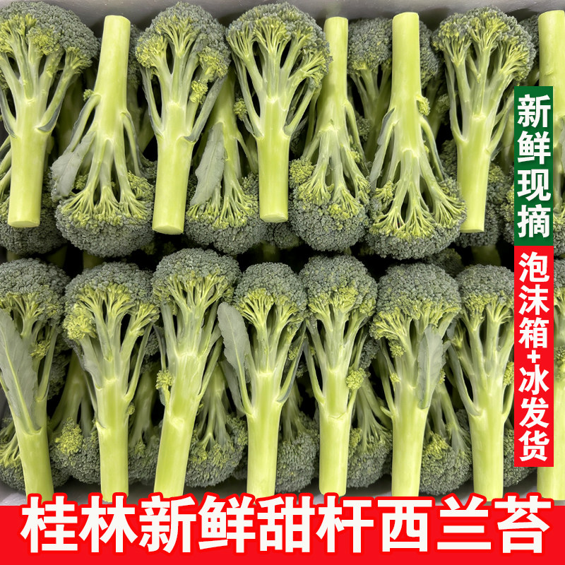 广西桂林新鲜甜杆西兰苔芦笋西兰花苔西蓝苔现摘青菜农家蔬菜包邮