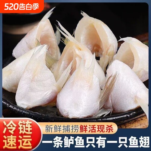 新鲜鲈鱼翅鱼鳍冷冻红烧剁椒食材海鲜产品批发生鲜鲜活鱼肉冰鲜