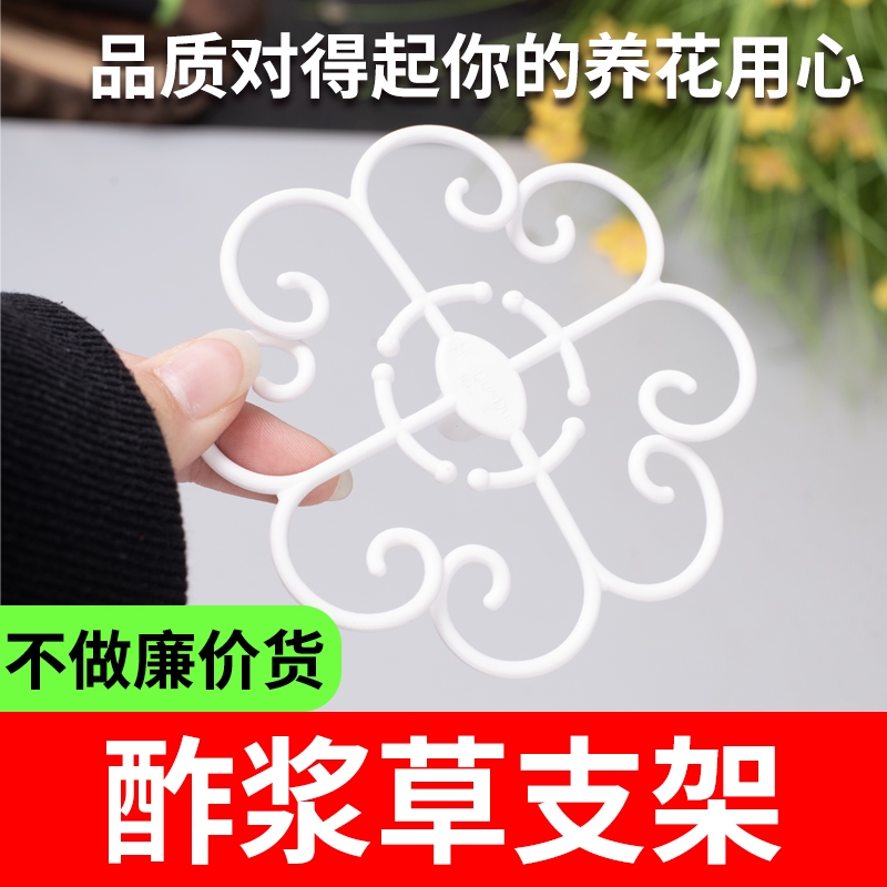 酢浆草专用固定防倒伏造型支架