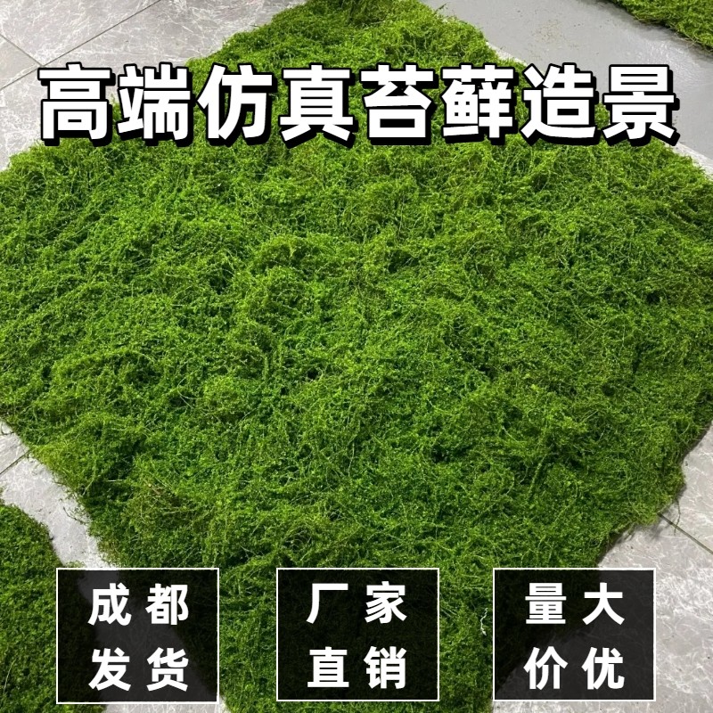 仿真苔藓草皮室内造景装饰百搭假苔藓盆景微景观植绒铺面绿植墙