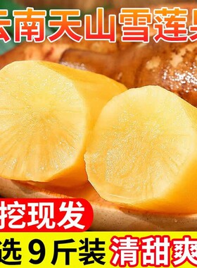正宗云南天山雪莲果高原脆甜雪中仙果当季新鲜水果9斤包邮