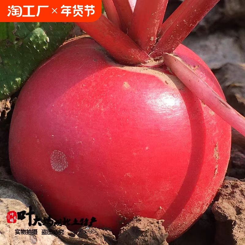 1�� ���������Բ�ܲ���˪