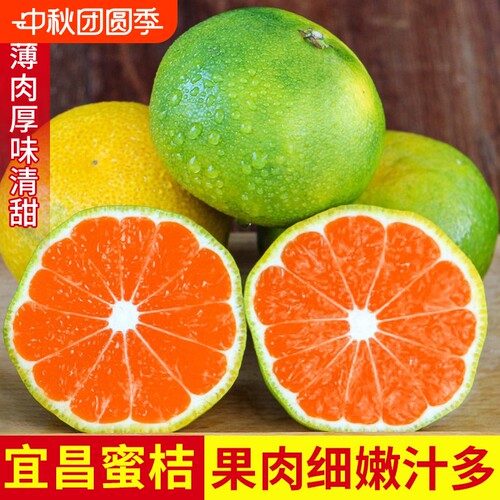 宜昌蜜桔橘子新鲜水果当季现摘青皮无籽桔子9斤早熟正宗包邮应季