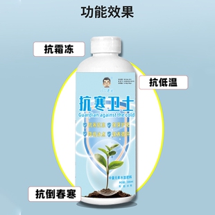 正品抗寒专业防冻营养液修复低温损伤强壮根系作物抗寒必备卫士