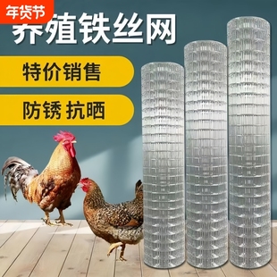 防锈镀锌铁丝网围栏护栏网格网拦鸡网养鸡网钢丝网养殖网菜园围.