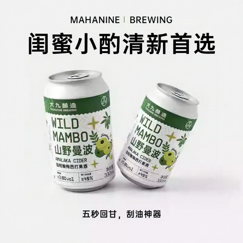 大九酿造山野曼波油柑酸梅西打330ml*2罐装鲜啤精酿啤酒女士微
