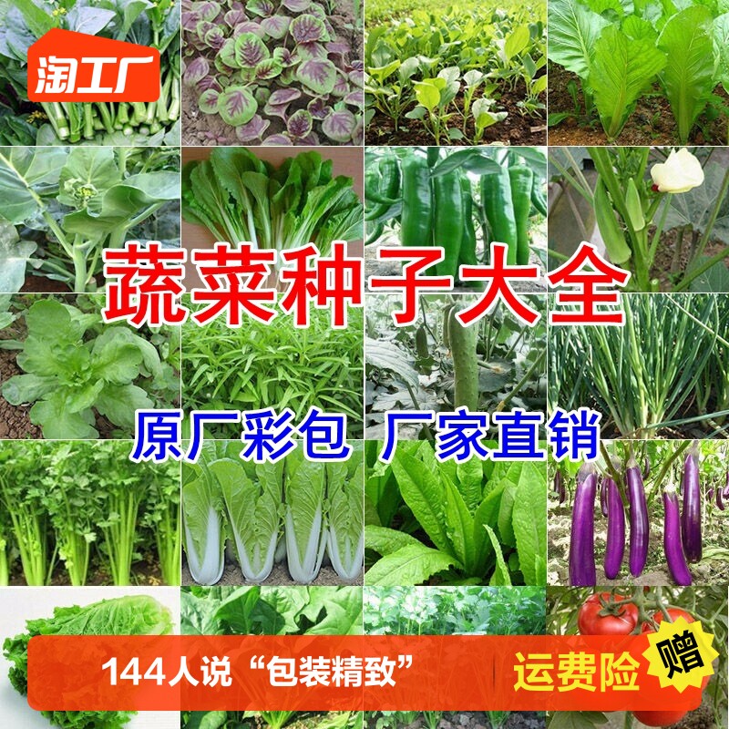 蔬菜种子四季播盆栽阳台香菜青白菜萝卜生菜菠菜籽孑大全木耳罗卜怎么样,好用不?