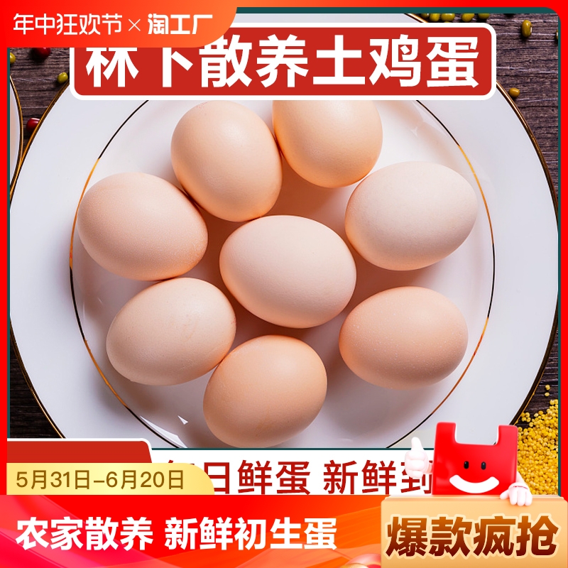 农家散养土鸡蛋10枚新鲜初生蛋谷物蛋农村柴鸡蛋笨鸡蛋40g/枚真正