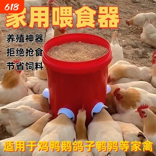鸡用食槽自动喂食器养鸡专用吃食神器新款大鸡喂鸡鸭鹅大号饲料桶