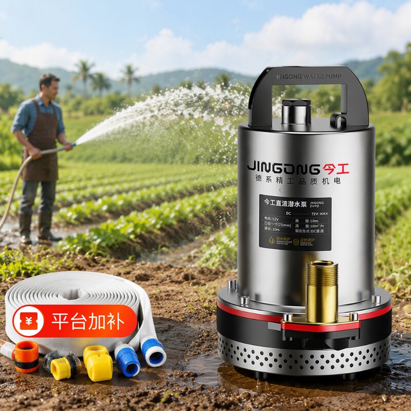 12v48v60v72v浇菜抽水泵电动车抽水泵电瓶车抽水泵农用直流潜水泵