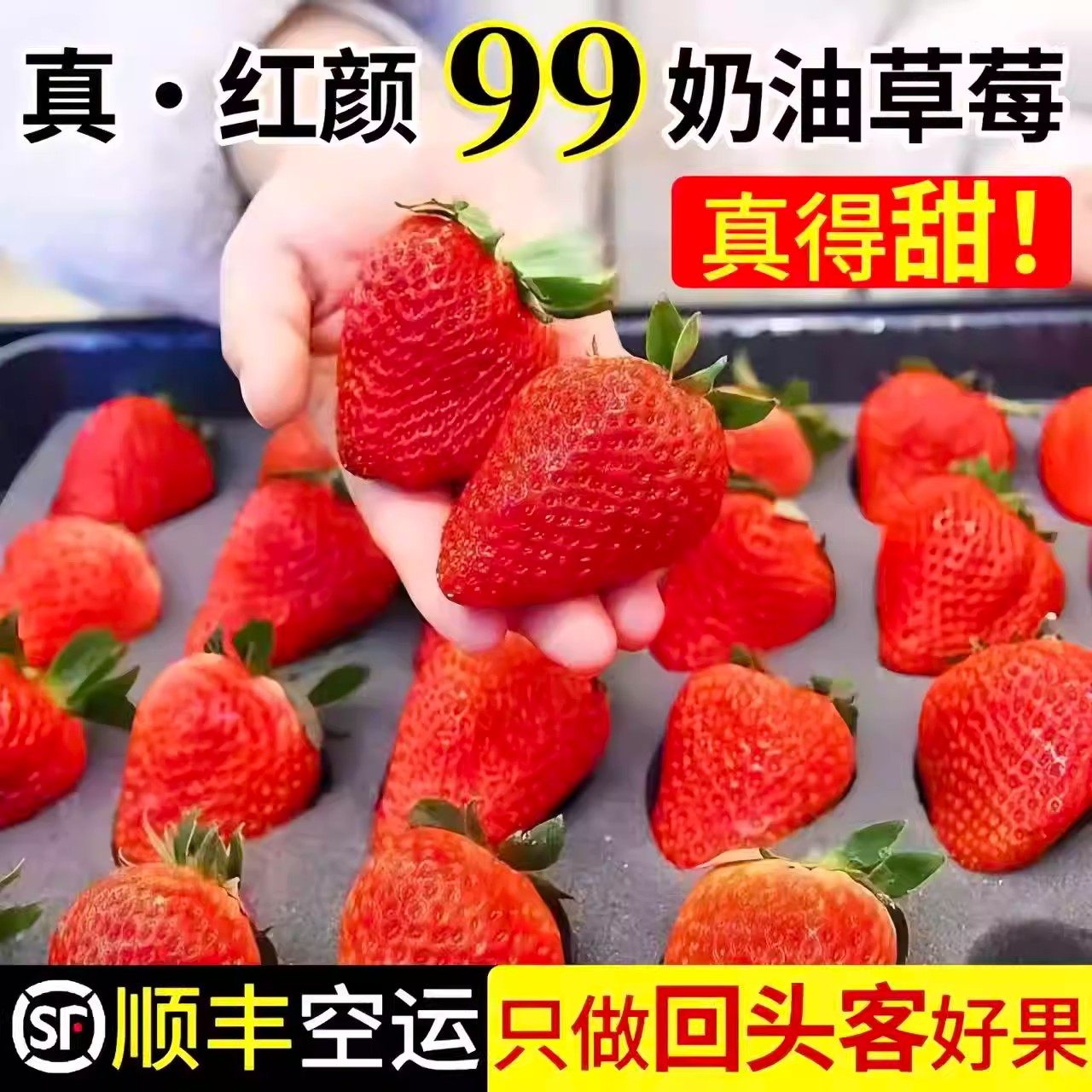 正宗红颜99草莓奶油草莓新鲜水果大草莓当季水果整箱顺丰包邮,水产肉类/新鲜蔬果/熟食,草莓,淘宝优惠券,粉丝福利购,淘宝优惠卷