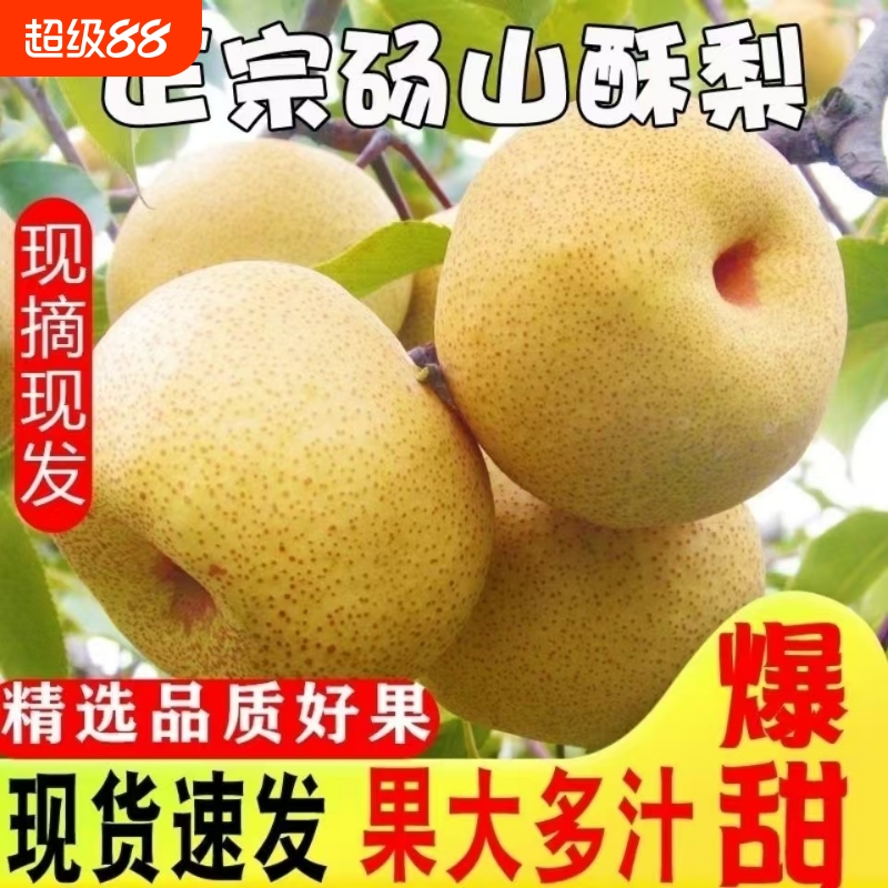 砀山酥梨脆甜多汁|超1000次加购