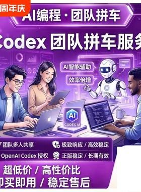 codex team拼车 business套餐 稳定保障