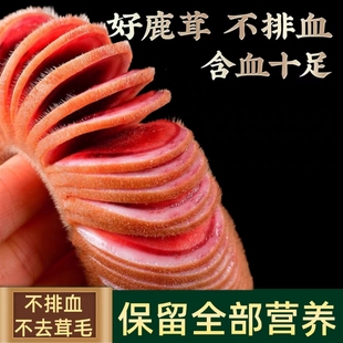 新鲜梅花鹿茸新鲜鹿茸片血片男性含血泡酒整枝正宗鹿茸顺丰航空