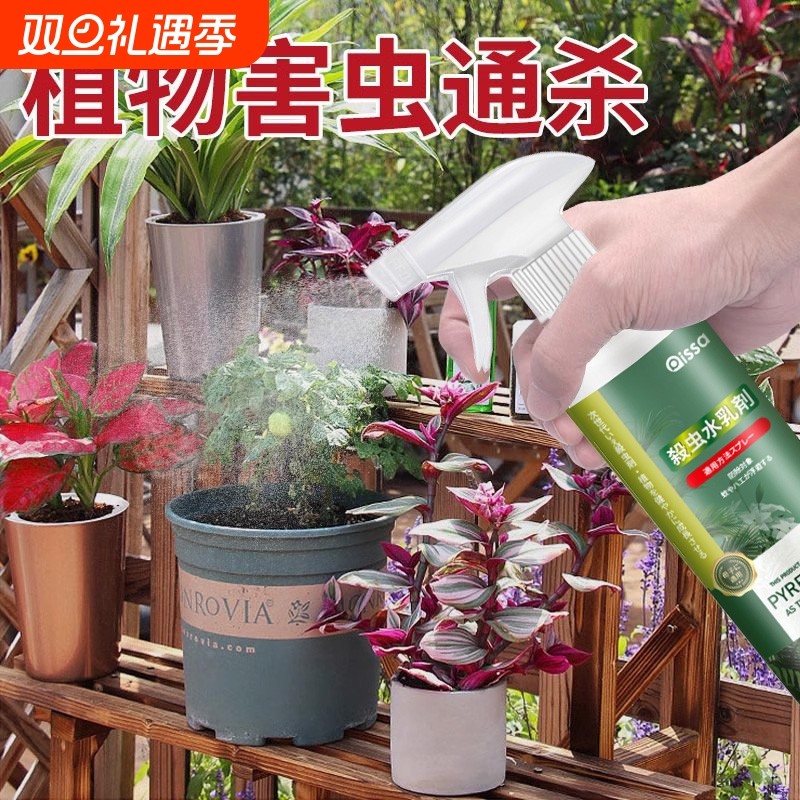 杀虫剂花卉植物花草通用非专用除红蜘蛛蚧壳虫蚜虫杀虫药多肉家用