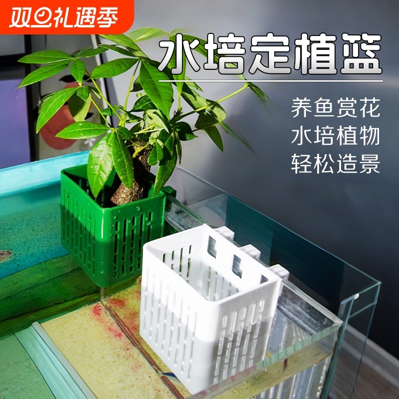 鱼缸水培定植篮壁挂式红薯种植杯绿萝植物篮水草固定神器造景装饰