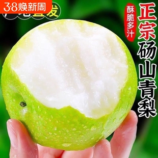 正宗皇冠青皮梨子新鲜9斤当季砀山梨鸭梨雪梨翠冠梨整箱年货节