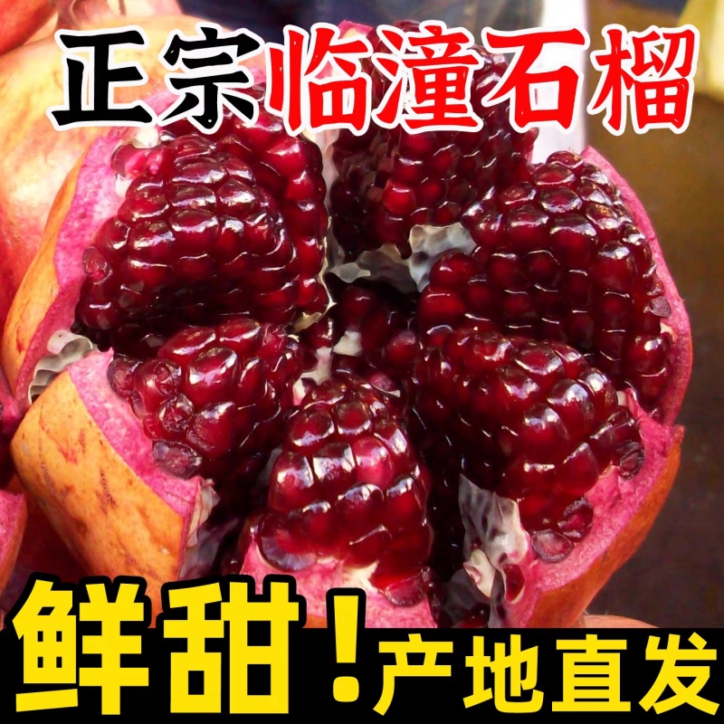 甜临潼软籽石榴大果5斤箱装
