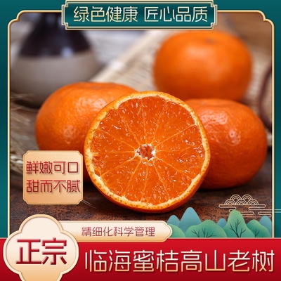 涌泉蜜桔当季现摘多汁