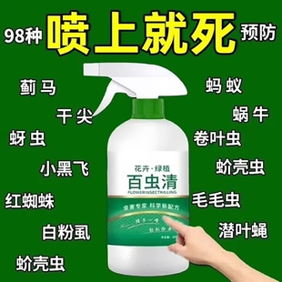 百虫清杀虫蔬菜果树植物花卉红蜘蛛蚧壳蚜虫月季 花病虫害常用药