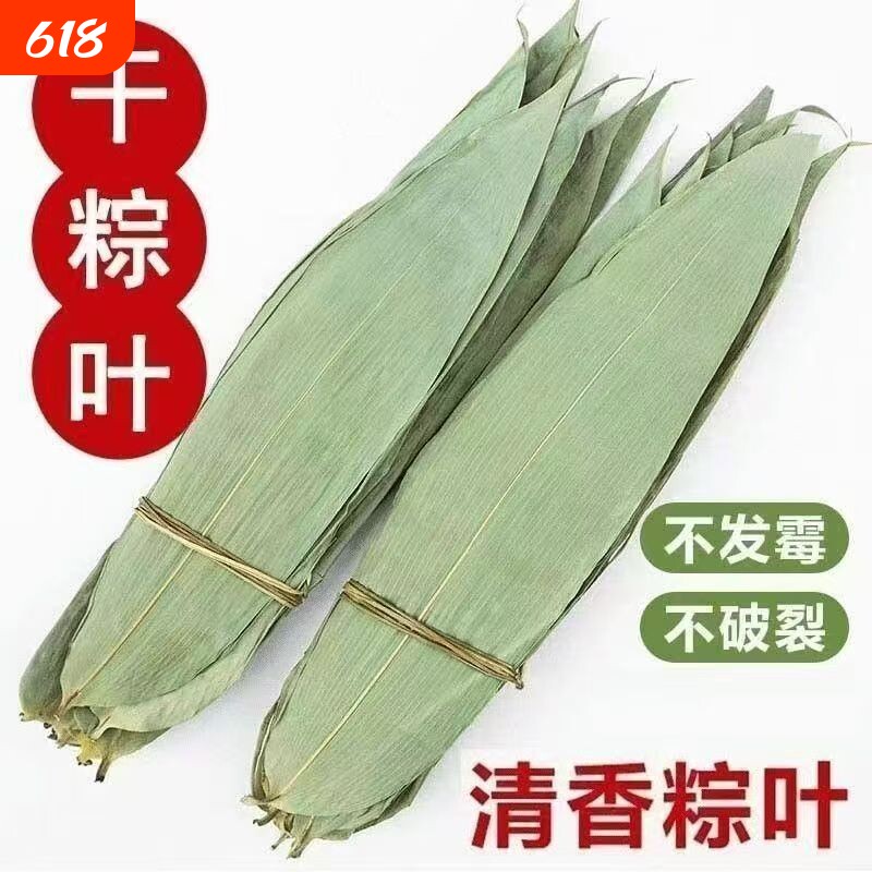 粽子叶粽叶干大号棕叶新鲜包粽子的竹叶子干粽叶商用箬叶材料