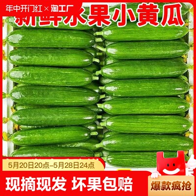 【超低价】水果小黄瓜即食蔬菜