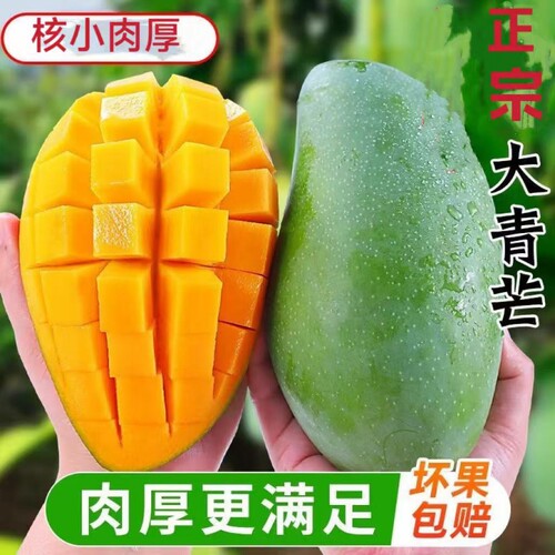 正宗大青芒玉芒当季新鲜水果金煌芒青皮甜心芒薄皮应季热带水果
