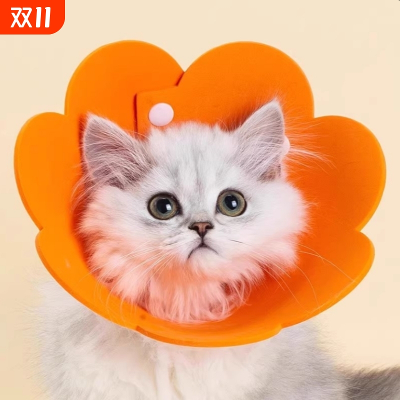 猫咪项圈圈防舔头套狗狗伊莉伊利沙羞耻脖圈绝育宠物用品幼猫