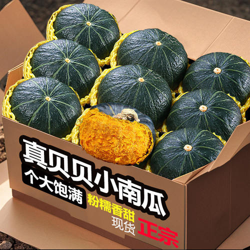 正宗新鲜贝贝南瓜小南瓜