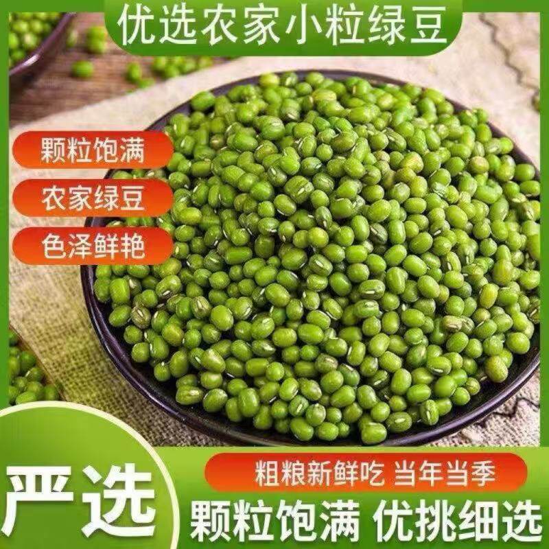 东北特产小绿豆农家自产新粮整粒5斤起 打粉做绿豆饼豆浆原料免泡