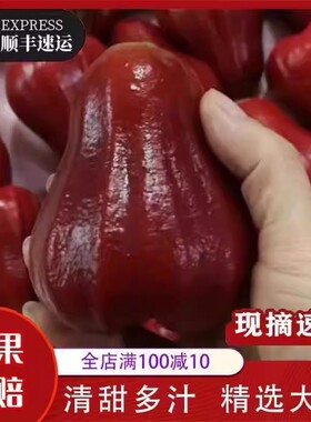 黑金刚莲雾水果顺丰 泰国进口5斤新鲜应季果批发包邮当季