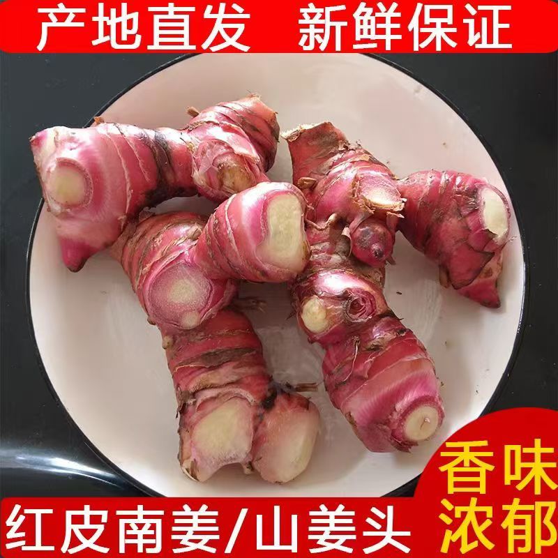 广东正宗红皮南姜现挖新鲜野生山姜牛羊肉火锅去膻提味调料品生姜