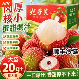 【顺丰现货】海南妃子笑荔枝新鲜水果桂糯米味白糖糍罂当季整箱
