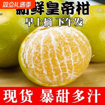 正宗广西皇帝柑新鲜橘子水果当季现摘贡柑甜橘大果包邮果园好吃