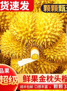 泰国金枕榴莲鲜果新鲜榴莲