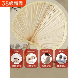 扇子大蒲扇济公扇老式棕叶家用扇葵扇芭蕉扇面编织手工小巧中国风