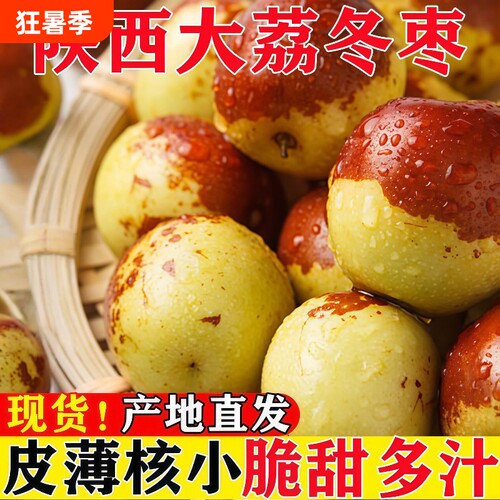 正宗陕西大荔冬枣产地直发当季鲜枣新鲜水果青红脆枣特大果整箱