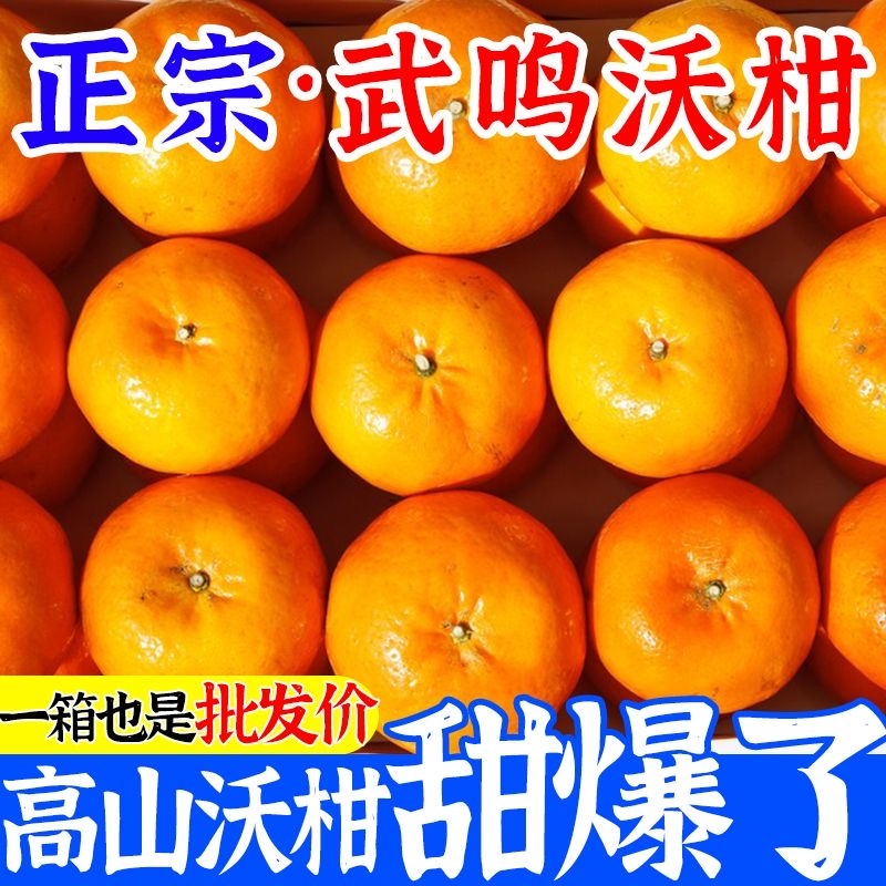 正宗广西武鸣沃柑5斤新鲜橘子水果当季沙糖蜜橘砂糖柑橘大果整箱