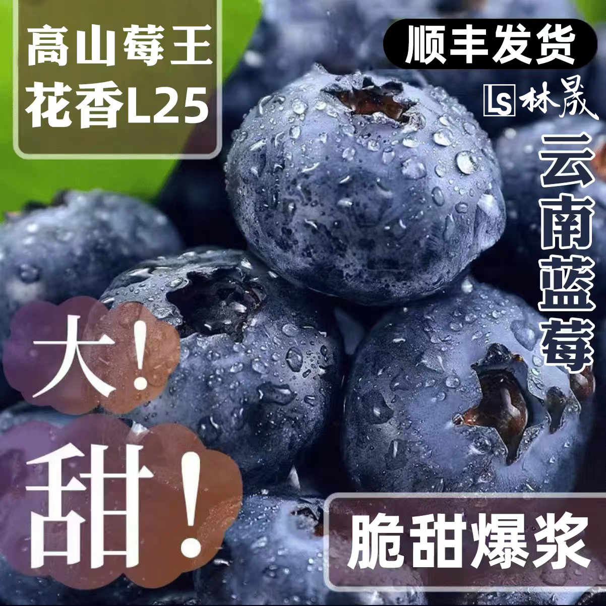 云南L25花香蓝莓高山特大果24mm+脆甜爆汁现摘现发孕妇高端水果