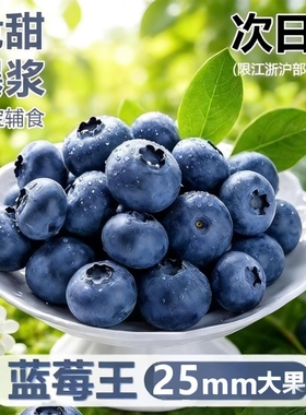 云南花香高山蓝莓新鲜果应当季水果枝l25整特大果产地直发包邮