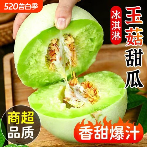 正宗山东玉菇甜瓜冰淇淋蜜瓜
