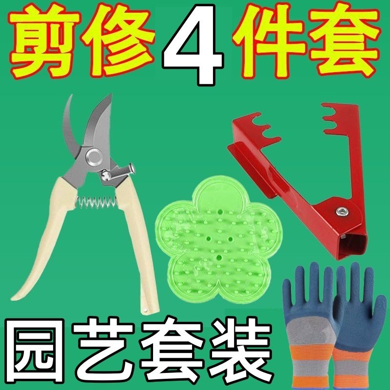 园艺园林剪枝剪盆栽修枝神器花艺剪鲜花剪子家用绿化嫁接花店剪刀