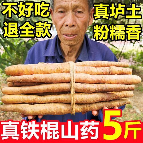 铁棍山药新鲜淮山药铁杆山药小白嘴现挖5斤非温县垆土怀山药去皮