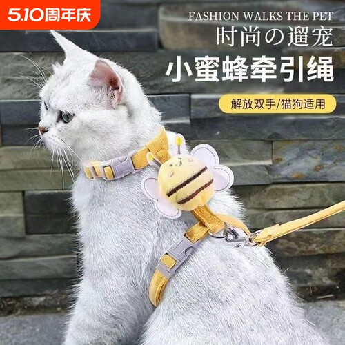 猫咪牵引绳防挣脱外出专用
