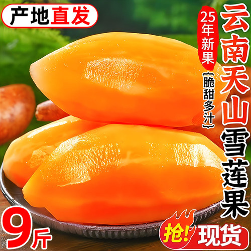 天山雪莲果新鲜水果应当季云南孕妇红心雪连果黄心脆甜整箱包邮