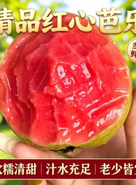 红心芭乐番石榴软糯软心