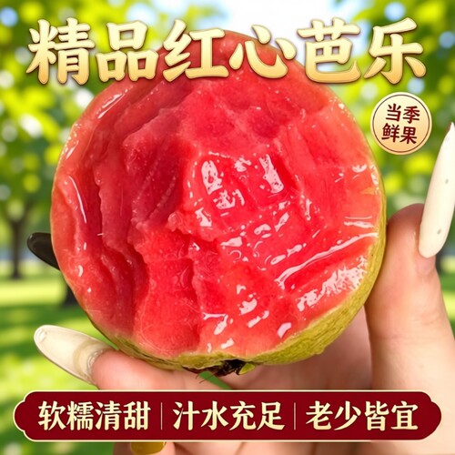 红心芭乐番石榴软糯软心