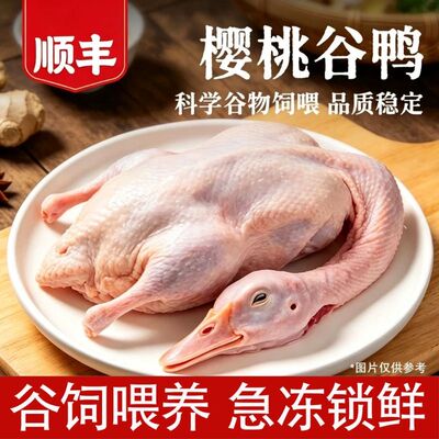 生鲜冷冻白条鸭樱桃谷鸭整鸭